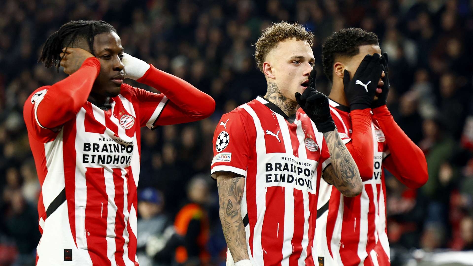 他們需要不 他們需要不