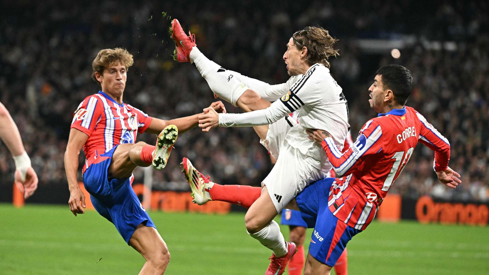 或許可以容 或許可以容