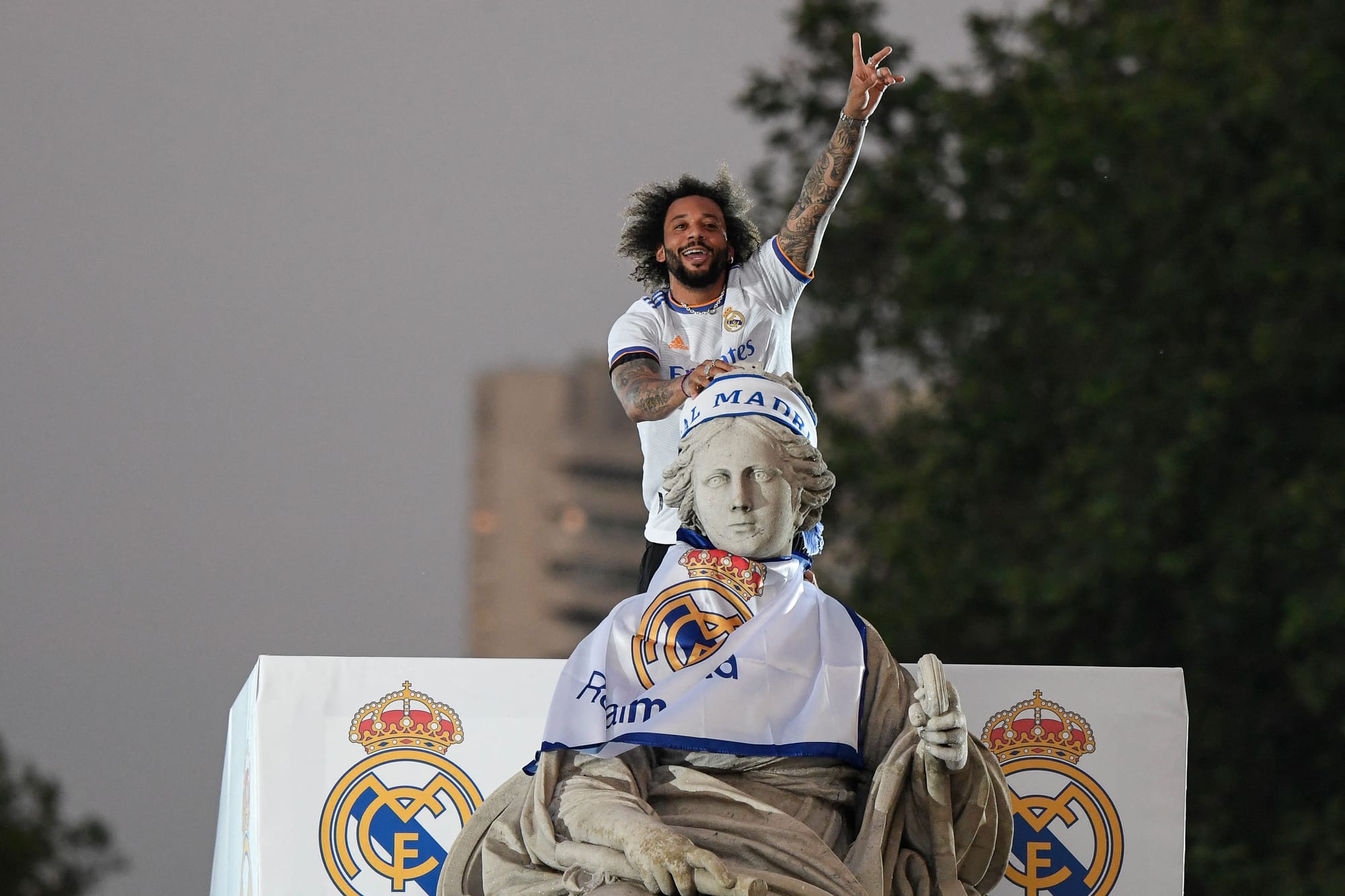 本次伯恩茅 本次伯恩茅